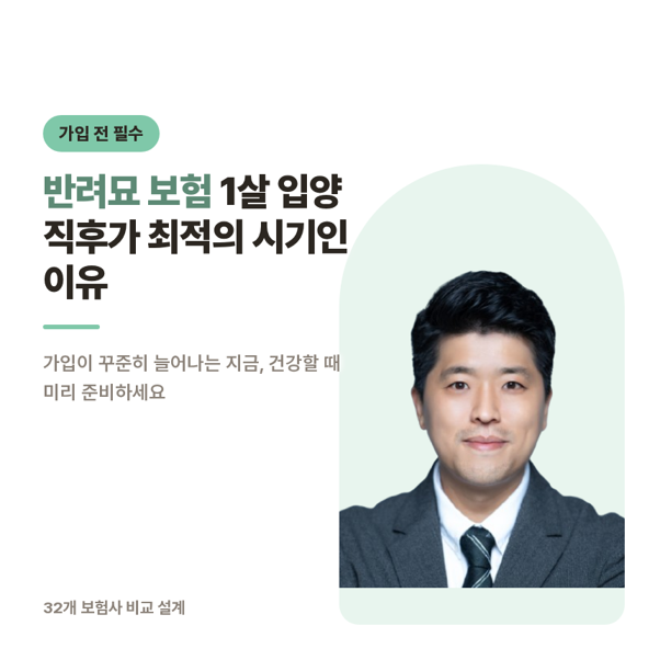반려묘 보험 1살 입양직후가 최적의 시기인 이유