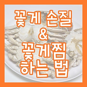 2026 가을 햇꽃게가 돌아왔다! 꽃게 손질법 & 꽃게찜 찌는 법 [꽃게찜/이마트행사]
