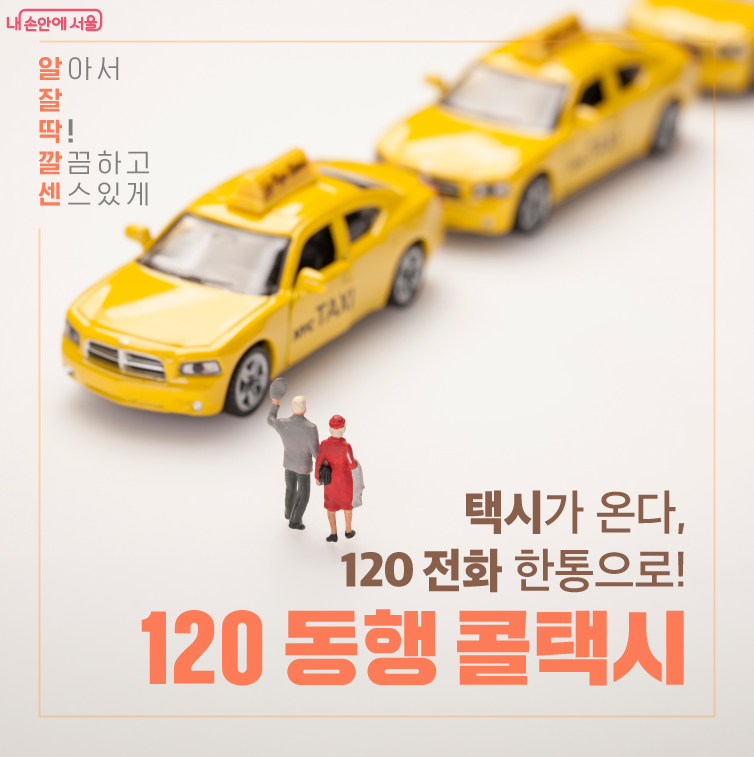 [서울시 복지] 어르신, 길에서 기다리지 마세요! 전화 한 통으로 부르는 ‘120 동행 콜택시’ ....