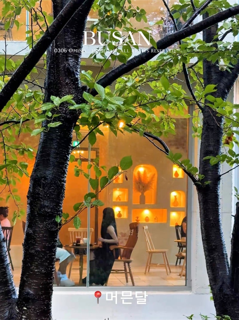 부산 남구 카페 머믄달, 숲뷰와 오션뷰가 있는 우암동 대형카페
