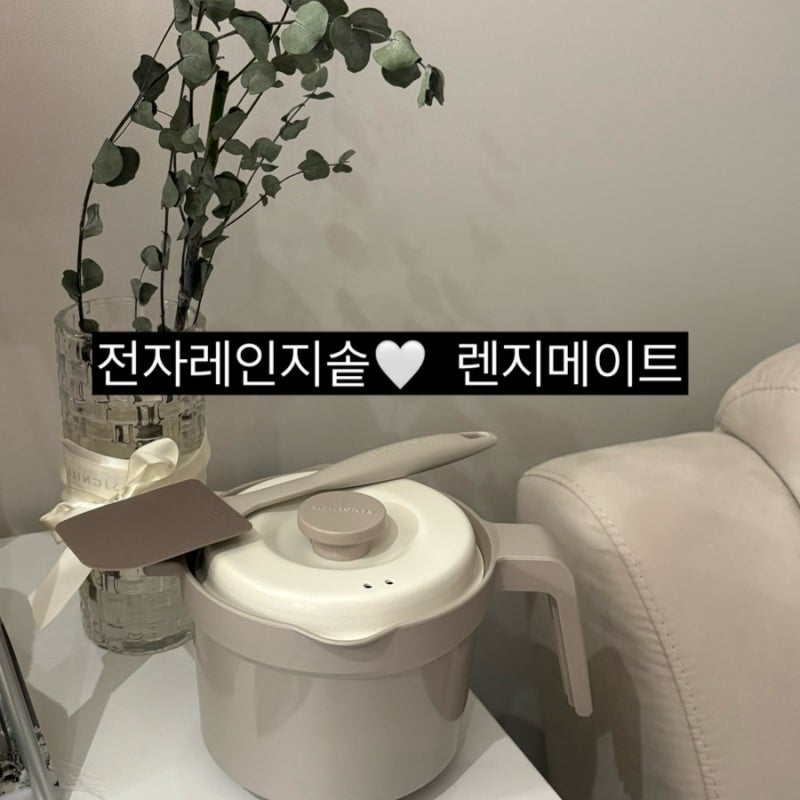 전자레인지솥 추천 렌지메이트 머그포트