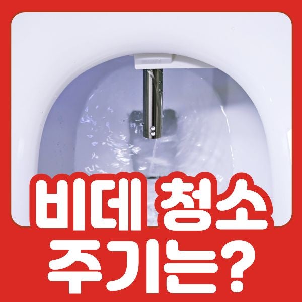 비데 청소 주기, 어디를 얼마나 자주 관리해야 할까요? [애플비데]