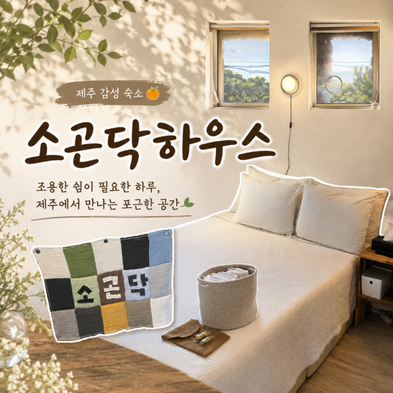 [제주/함덕] 제주 함덕 숙소 추천, 조용하고 아늑한 감성 숙소 :: 소곤닥하우스