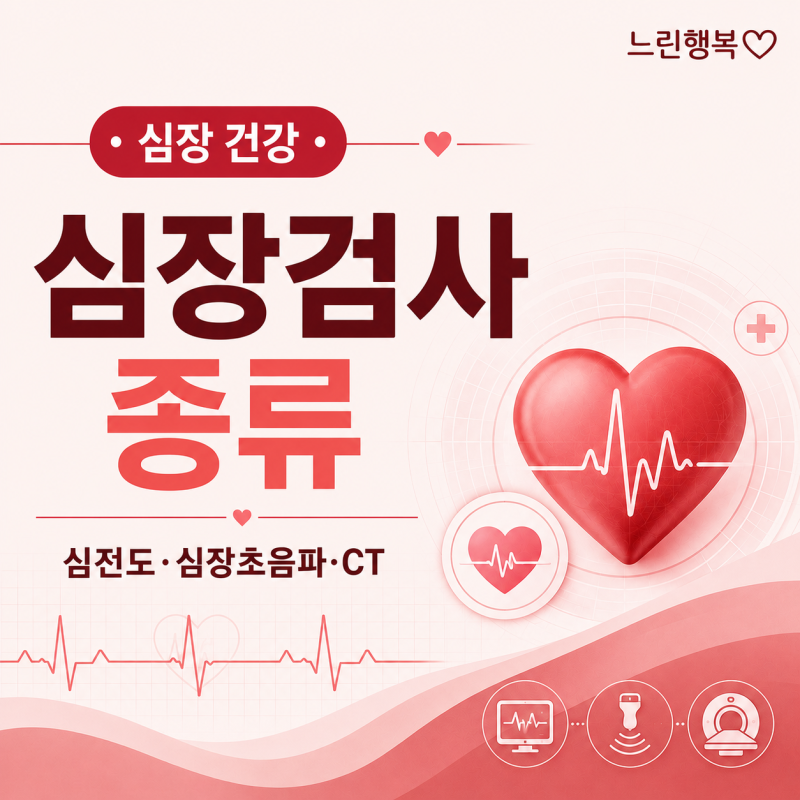 1탄. 심장검사 종류｜심전도·심장초음파·관상동맥 CT는 언제 하나요?