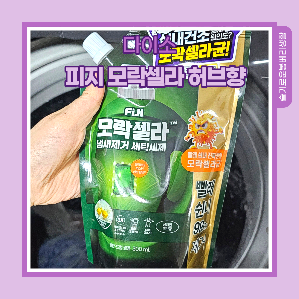 다이소 세탁세제 피지 모락셀라 허브향 써본 솔직 후기