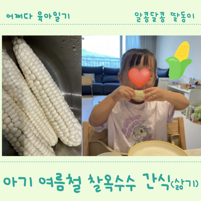 두돌아기 여름철 찐옥수수 간식(찰옥수수 찌기)