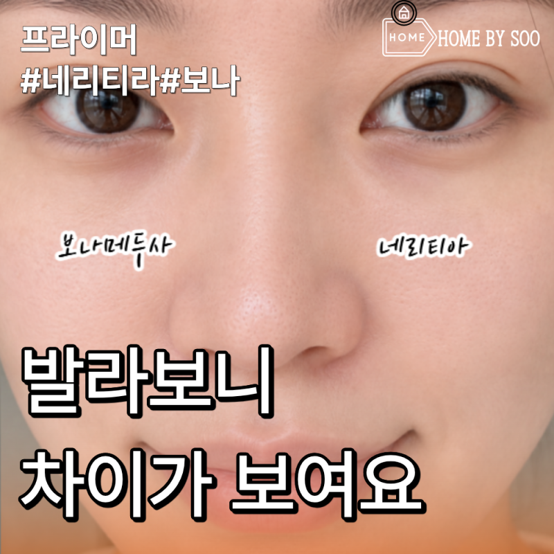 네리티아 실크 프라이머 보나메두사 비교 모공 커버 지속력 후기
