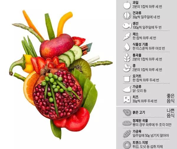 [건강정보] 심장병 예방법부터 심장에 좋은 음식과 운동법 완벽 정리!