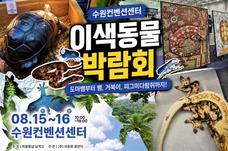 수원 이색동물박람회 후기 1억 원 거북이부터 크레스티드게코까지, 아이와 다녀온 이야기