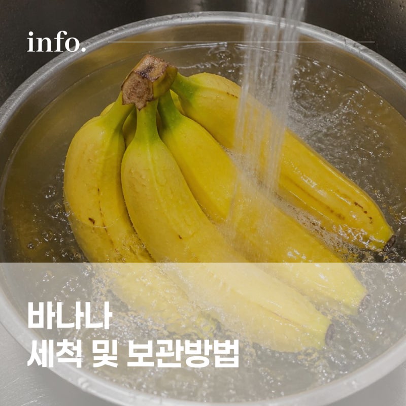 초파리 걱정 없는 바나나 세척 보관방법 후숙 실온 냉장 보관법