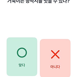 8월 21일 키즈노트 퀴즈 거북이는 등딱지를 벗을 수 있다?