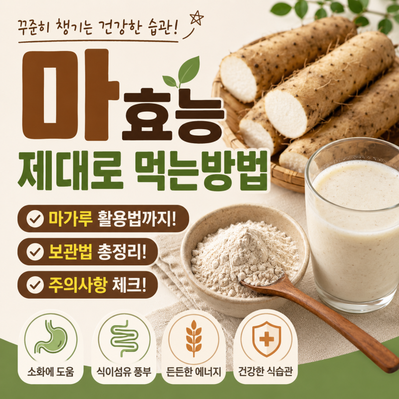 마효능 제대로 먹는방법 보관법 주의사항 총정리