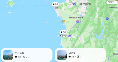 “보령 갑오징어, 물때부터 보지 마세요” 고수들이 먼저 찾는 진짜 명당의 조건