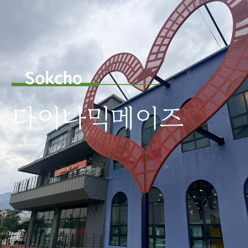 속초 비오는날 실내 놀거리 다이나믹메이즈 이색적인 하루