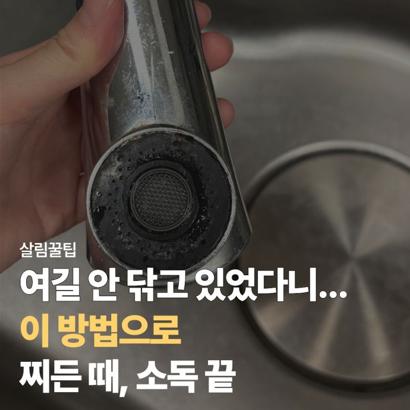 "뒤집어 보고 경악" 싱크대 수전 헤드 청소 '이 방법'으로 찌든 때 해결하고 소독까지