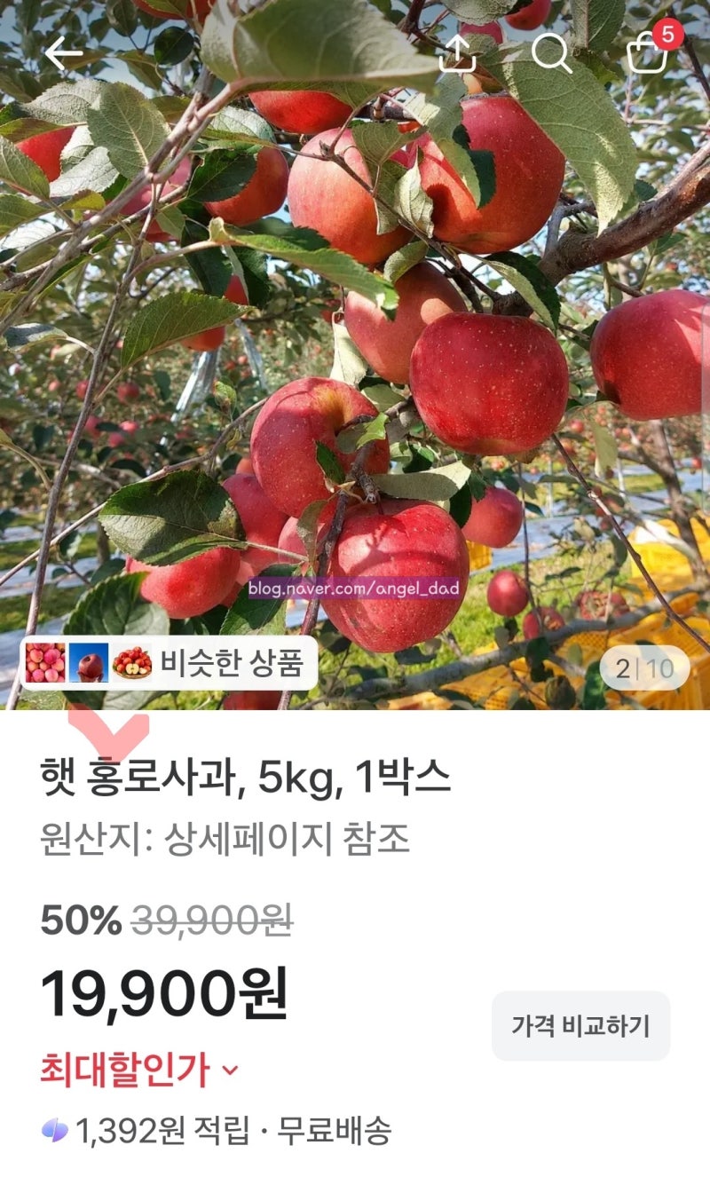 (최저가.핫딜) 햇 홍로사과 5kg 한 박스, 제철 홍로사과 맛과 신선도 알아보기