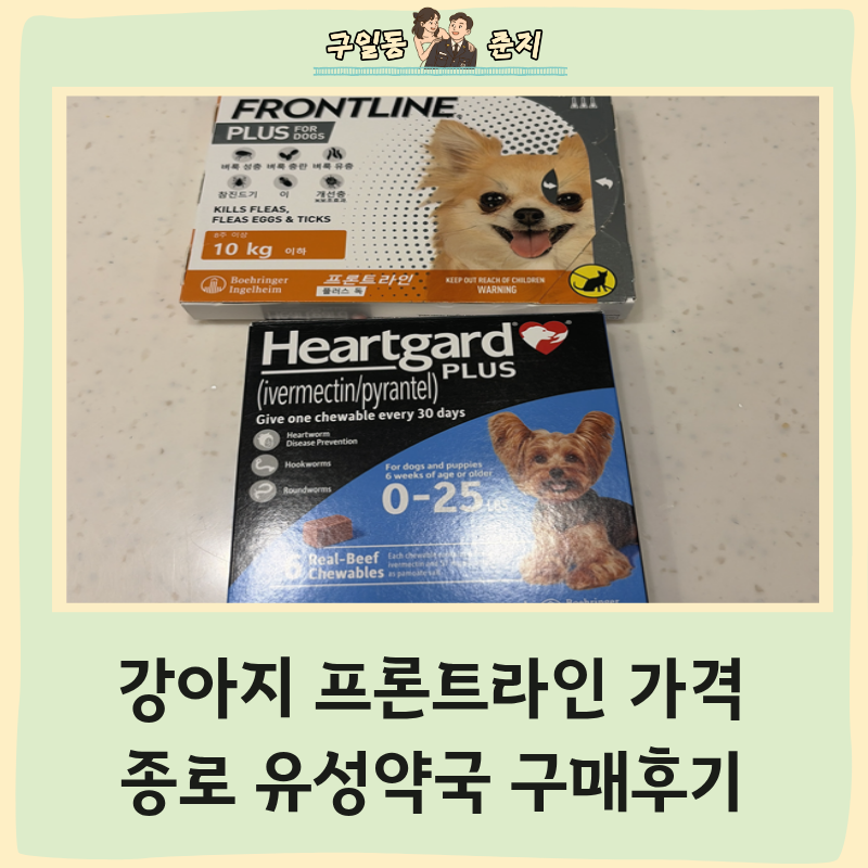 강아지 프론트라인 가격 종로 유성약국 하트가드 구매 후기