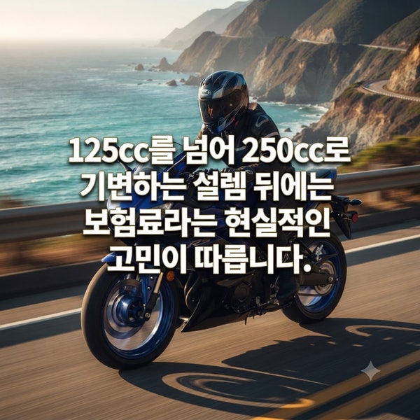 250cc 오토바이 보험료, 125cc보다 2배 비싼 이유?