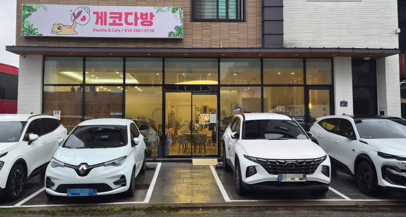 양산 파충류 카페 게코다방 아이와 실내 데이트 찐후기!✨