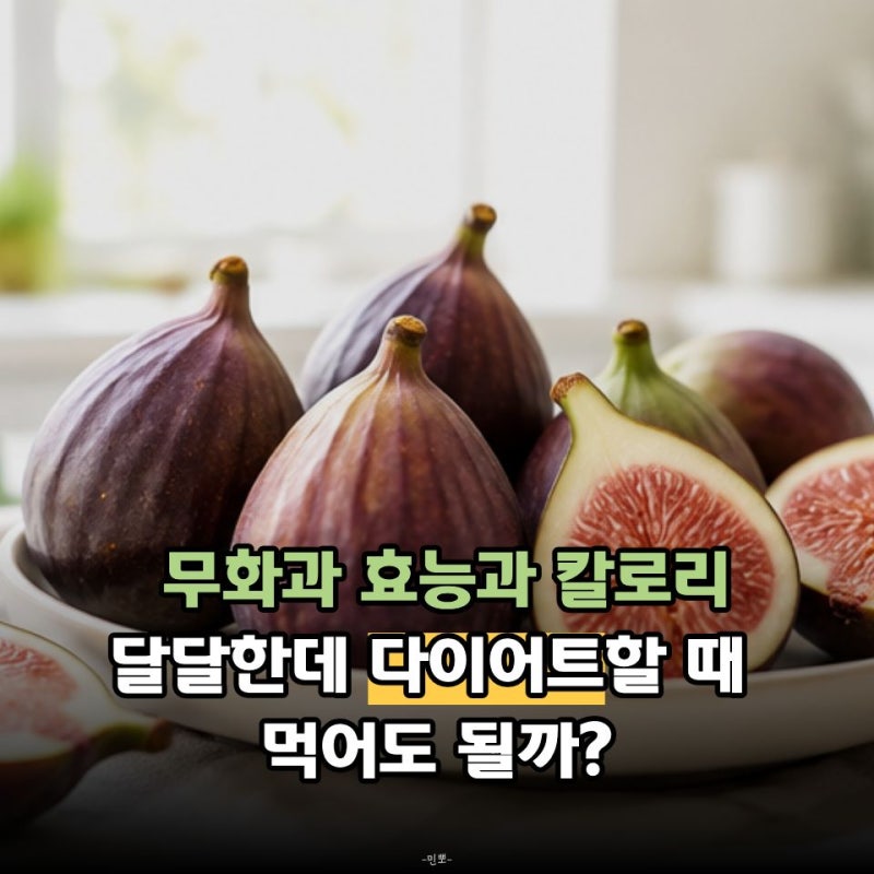 무화과 효능과 칼로리, 달달한데 다이어트할 때 먹어도 될까?