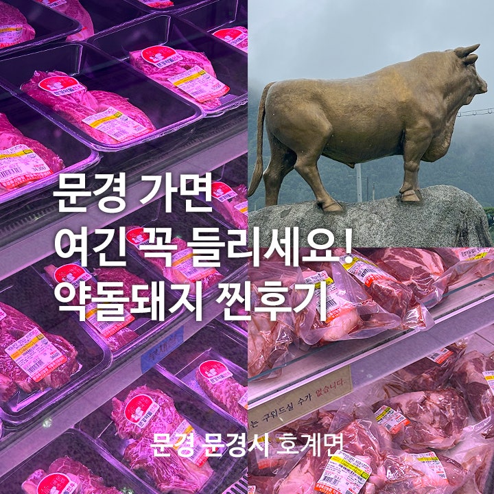 경북 문경 약돌돼지 정육점 추천｜문경축산농협 약돌한우프라자｜캠핑 먹거리 메뉴