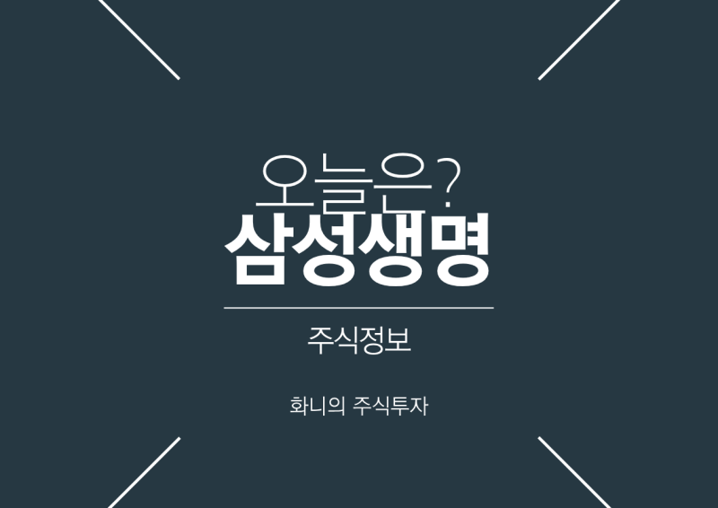 삼성생명 주가 급등 이유, 보험주 강세·삼성전자 지분·배당 기대감 정리