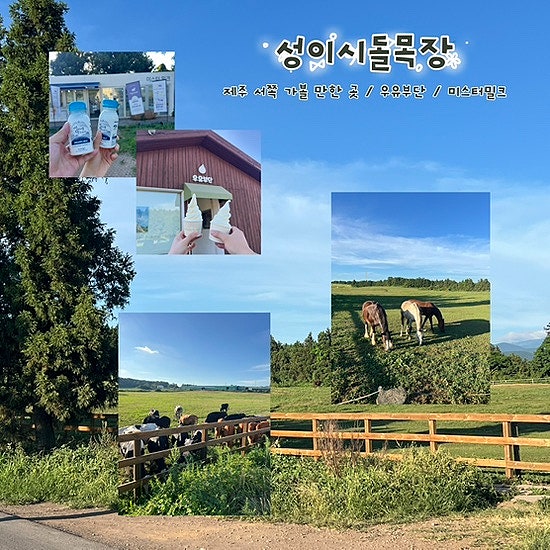 제주도 서쪽 필수 코스 성이시돌목장