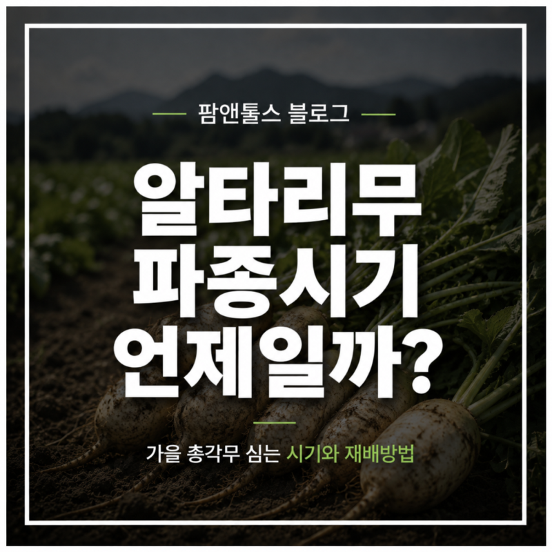 알타리무 파종시기 언제일까? 가을 총각무 심는 시기와 재배방법