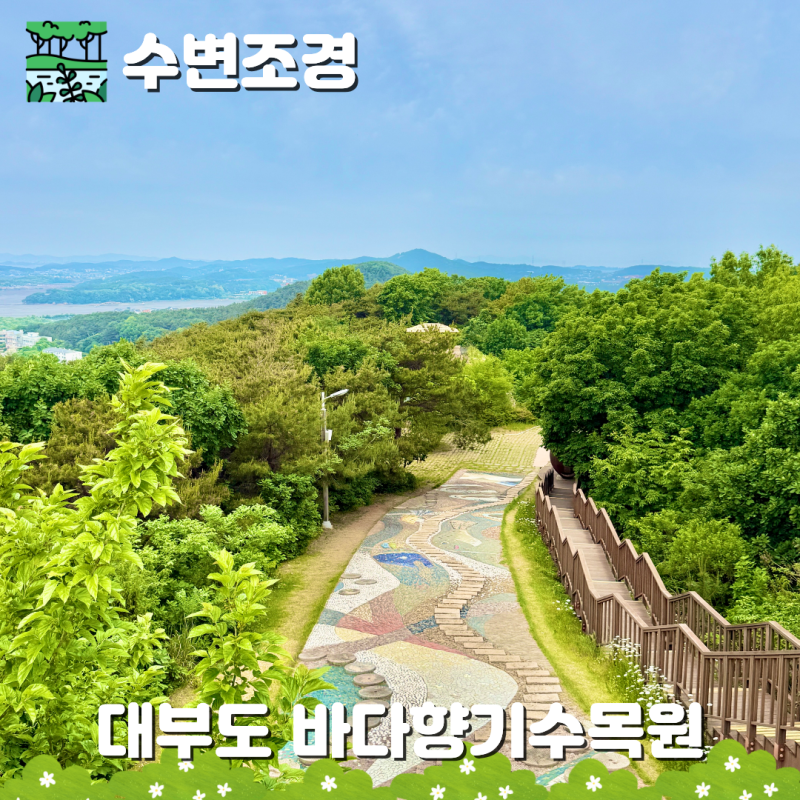 서울 근교 안산 대부도 바다향기수목원 상상전망대 코스 주차 입장료 가볼만한곳