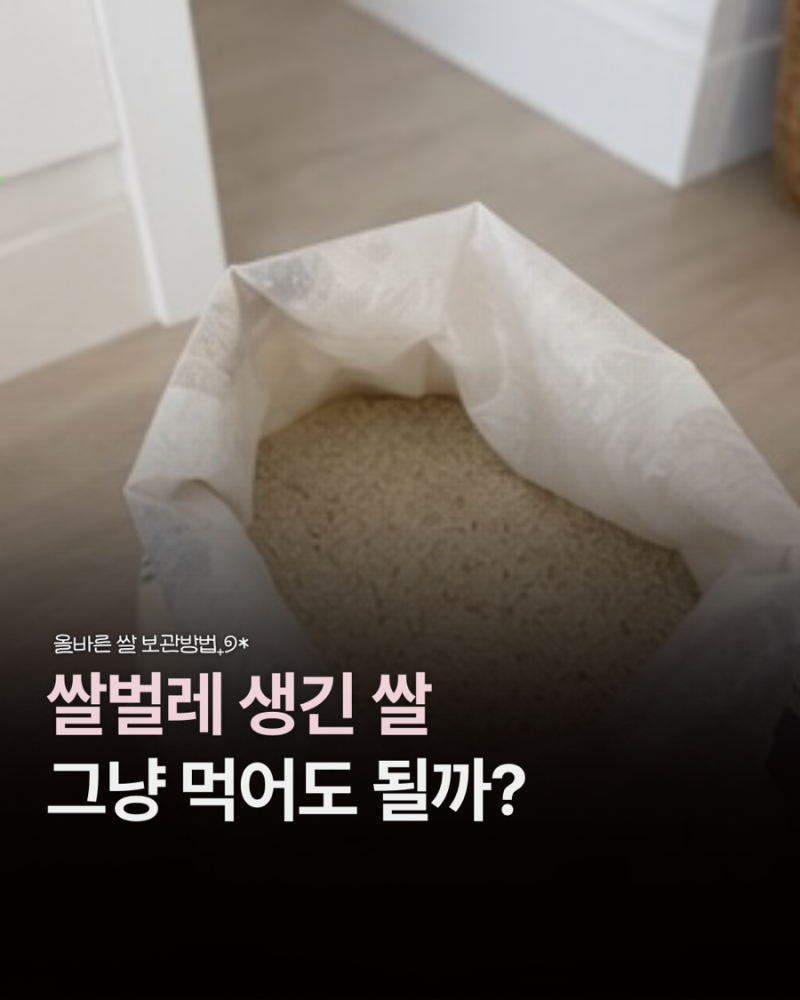 쌀벌레 생기는 이유와 쌀 보관방법 총정리