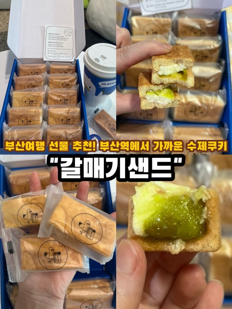 부산여행 필수 기념품 ! 부산 수제 샌드 "갈매기샌드" 수제쿠키 |부산여행 답례품 선물 추천
