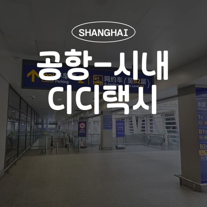 상하이 푸동 공항에서 시내까지 디디택시 타는법 위치