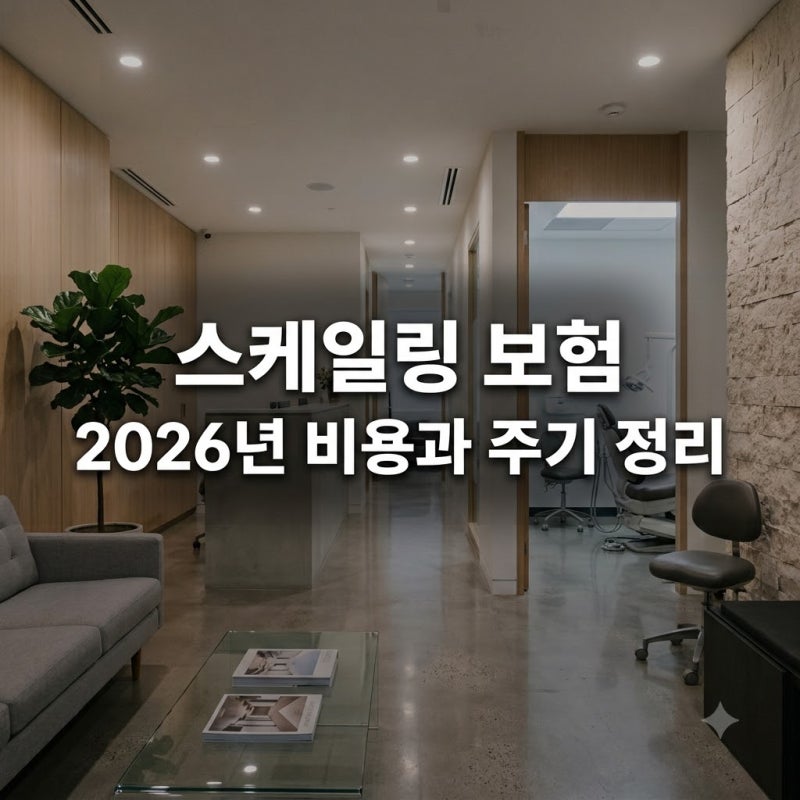 스케일링 비용 주기 보험 적용 2026년 최신 정보 완벽 정리