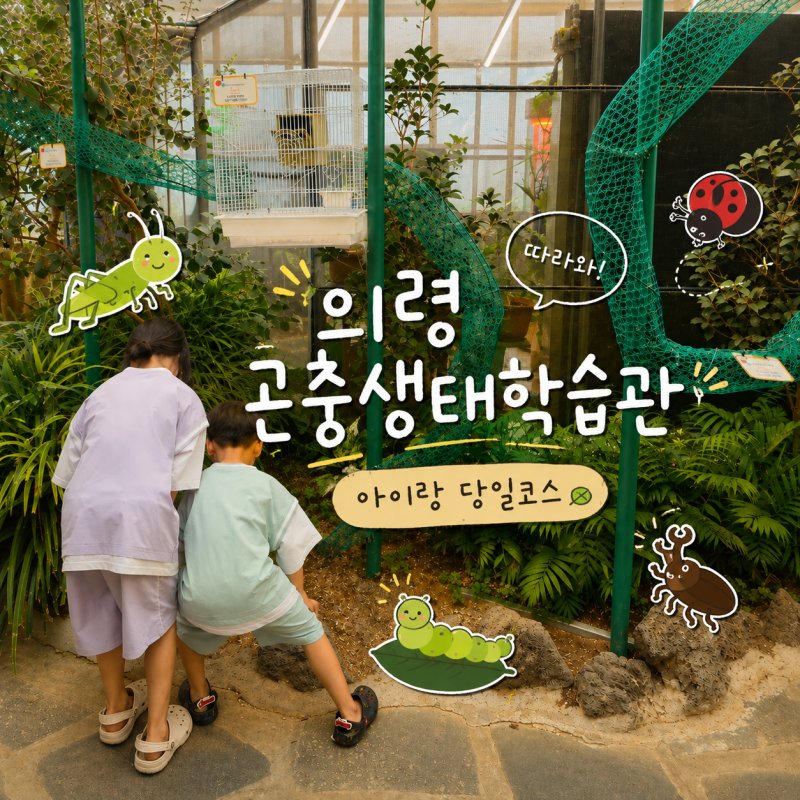 부산근교 아이와 가볼만한곳, 의령 곤충생태학습관 당일치기
