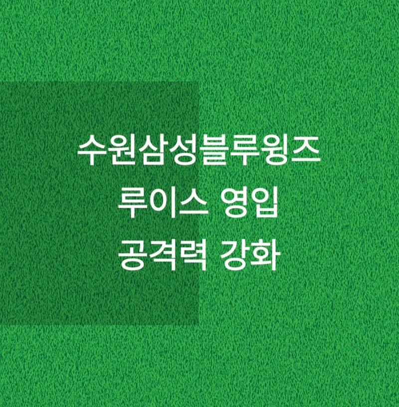 수원삼성블루윙즈 루이스 선수 영입 공격력 보강 다이렉트 승격 승부수