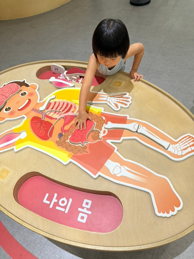 과천 과학관 5세 아이와 주말 나들이｜유아체험관 예약방법부터 곤충박물관까지