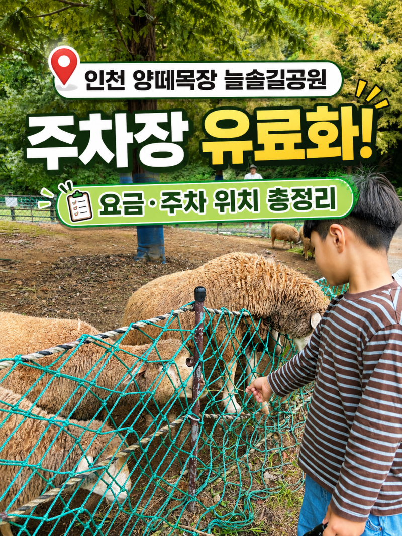 인천 양떼목장 1년만에 다시 찾은 늘솔길공원 (주차장 유료화)