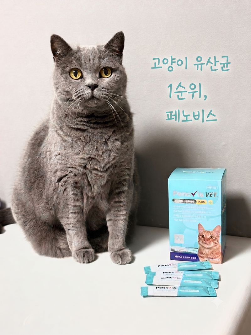고양이 유산균 1순위, 페노비스 변비 신장 케어가능한 고양이영양제