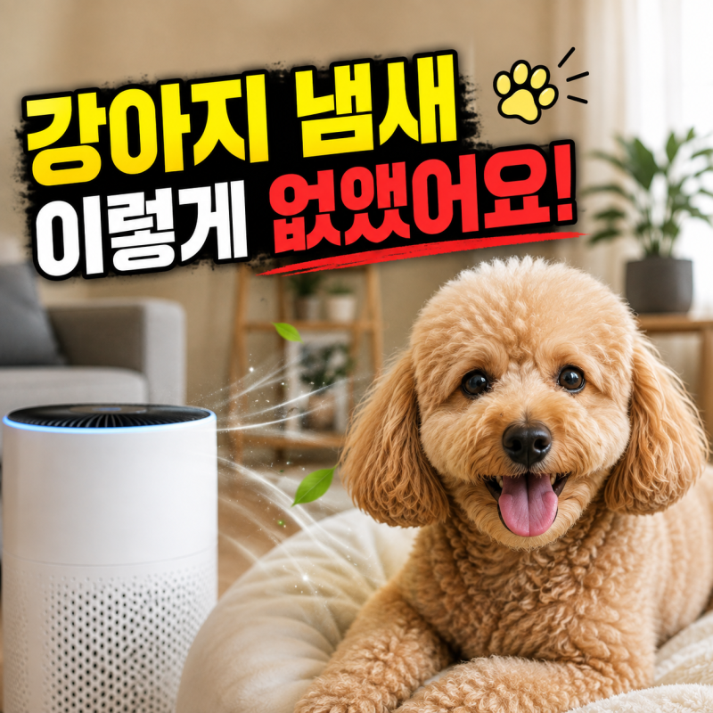 강아지 공기청정기 효과는? 강아지 냄새제거 방법