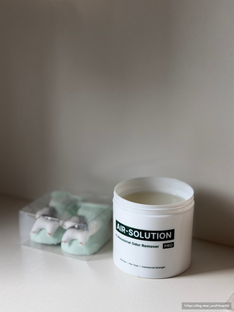 새집증후군제거 욕실하수구냄새 신발장냄새까지 잡은 냄새탈취제 브릭홈 고체 탈취제