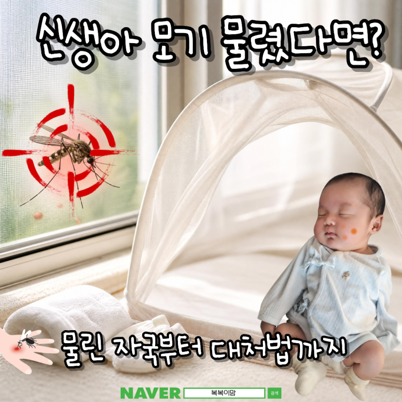 신생아 모기에 물렸을 때, 어떻게 해야 할까? 물린 자국부터 대처법까지
