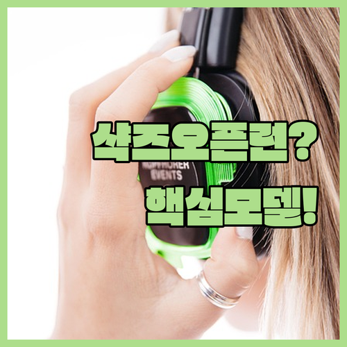 샥즈 오픈런 추천 모델 어느 게 맞을지 궁금하다면