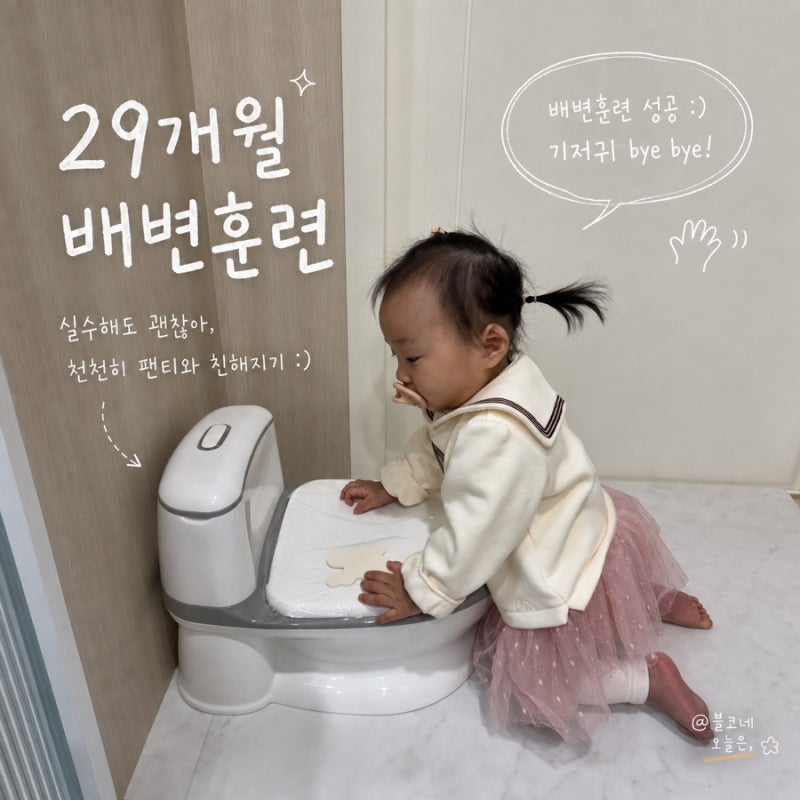 29개월 아기 기저귀 떼기｜배변훈련 신호부터 낮·밤기저귀까지