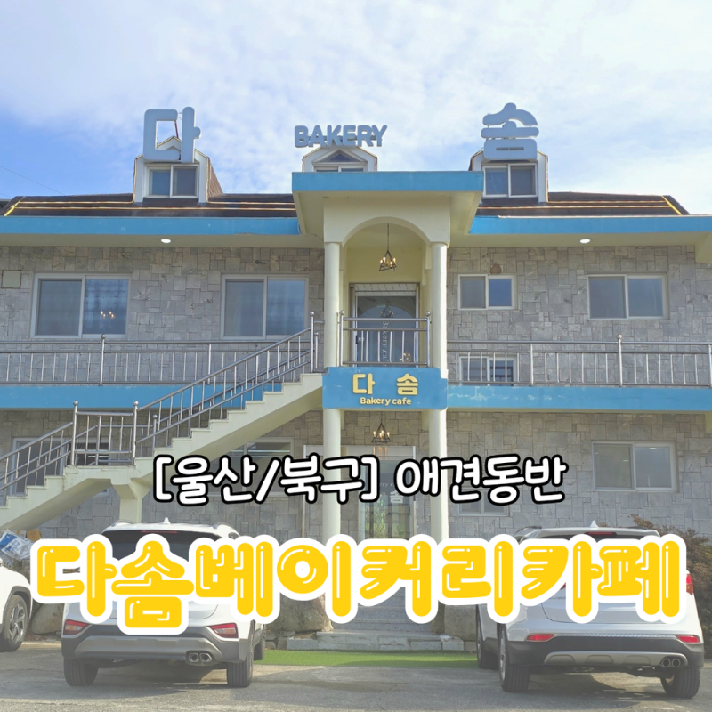 아기랑 강아지랑 갈만한 곳 울산 북구 애견동반 다솜베이커리카페