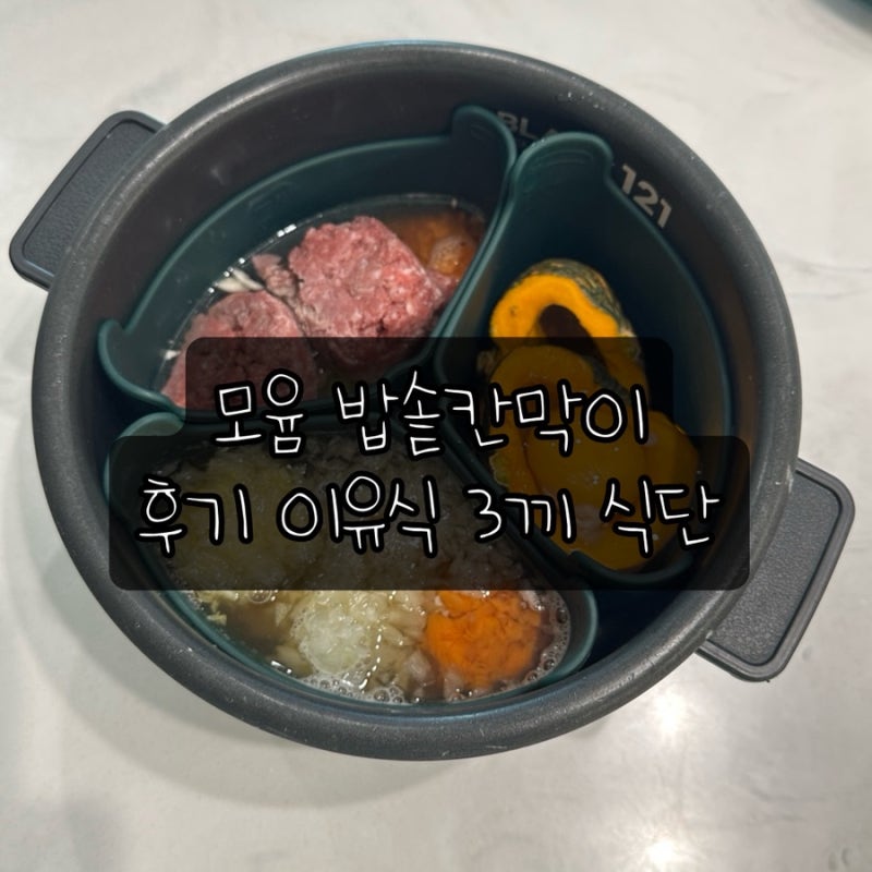 모윰 밥솥 칸막이 사용 후기 | 10개월 아기 이유식 레시피