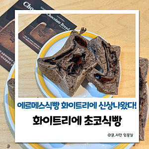 화이트리에 신상 초코식빵 솔직후기 원주점 구매 웨이팅 정보