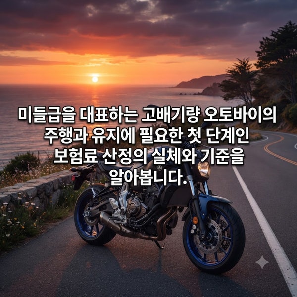 650cc 오토바이 보험료 총정리! 가입 전 필수 점검 항목