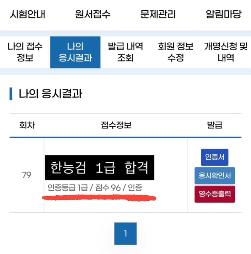 [한능검 심화 96점!] 한능검 공부법부터 시험 접수 방법까지 꿀정보 대방출 ✨