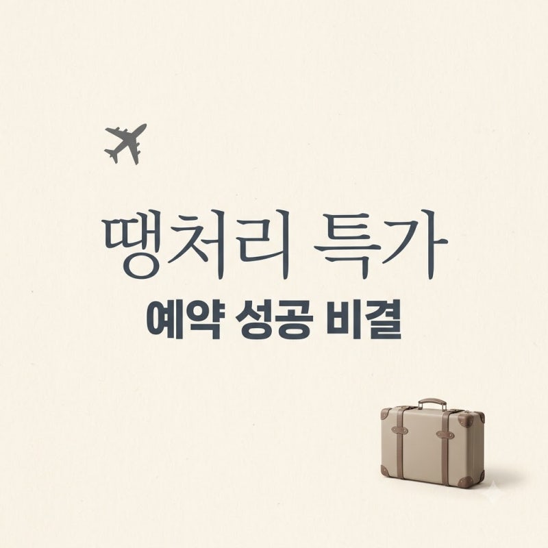 "공짜 수준이라더니.." 땡처리항공권 결제 전 꼭 확인해야 할 반전 3가지