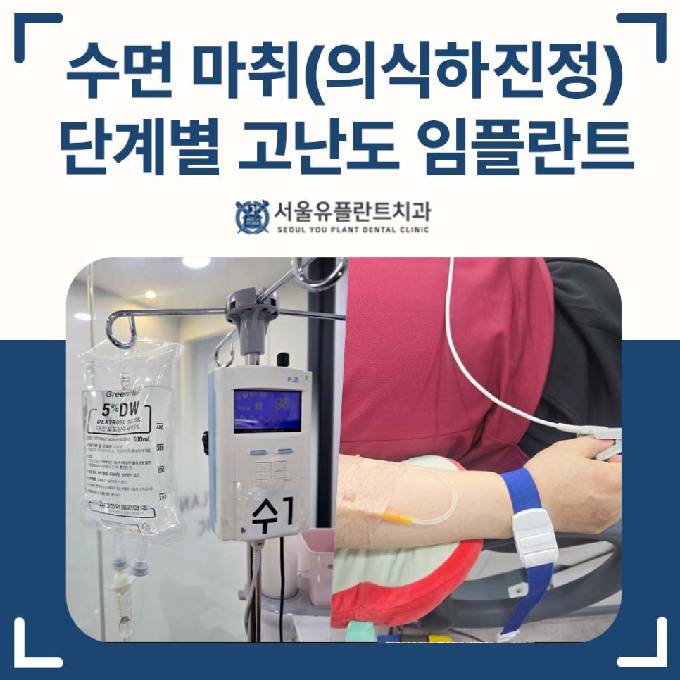 진정 사진